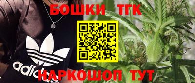 прущие грибы Лесосибирск